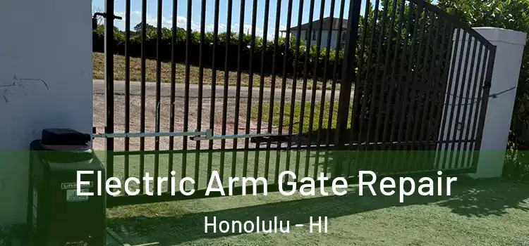 Electric Arm Gate Repair Honolulu - HI