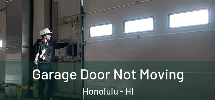  Garage Door Not Moving Honolulu - HI