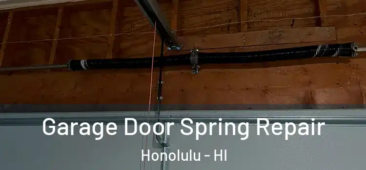  Garage Door Spring Repair Honolulu - HI