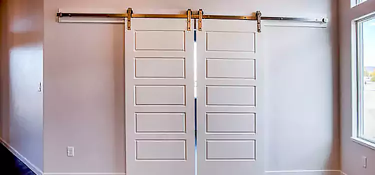Glass Barn Door with Installation Hardware Kit Honolulu