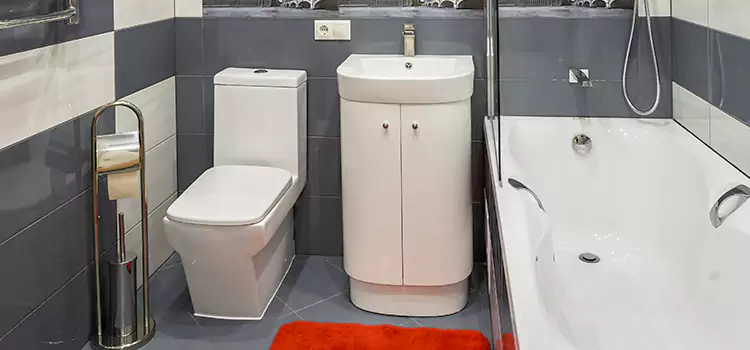 Hansgrohe Shaving Mirror Honolulu