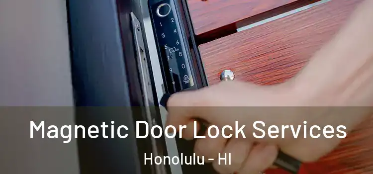 Magnetic Door Lock Services Honolulu - HI